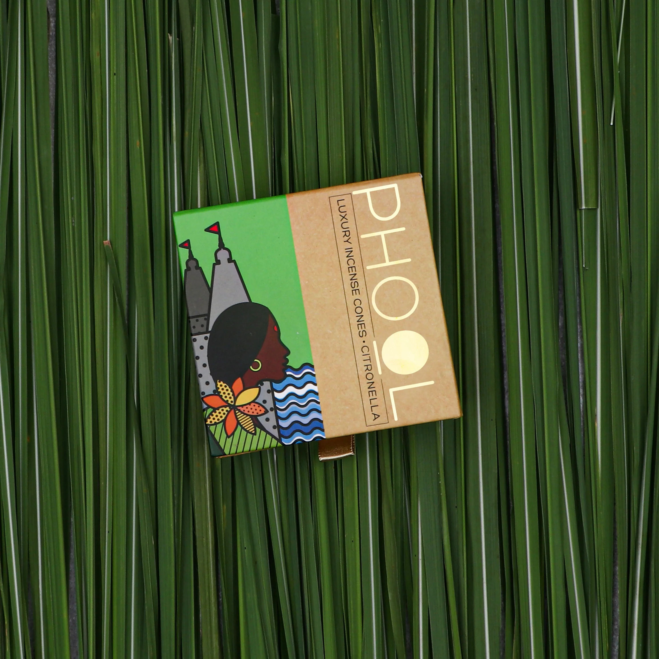 Phool Natural Incense Cones - Citronella - Image 3